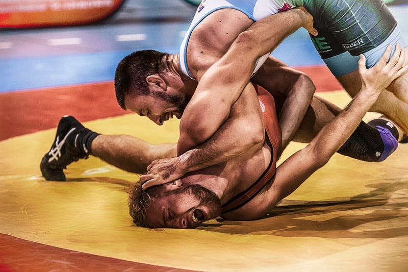 Jiu-Jitsu Image